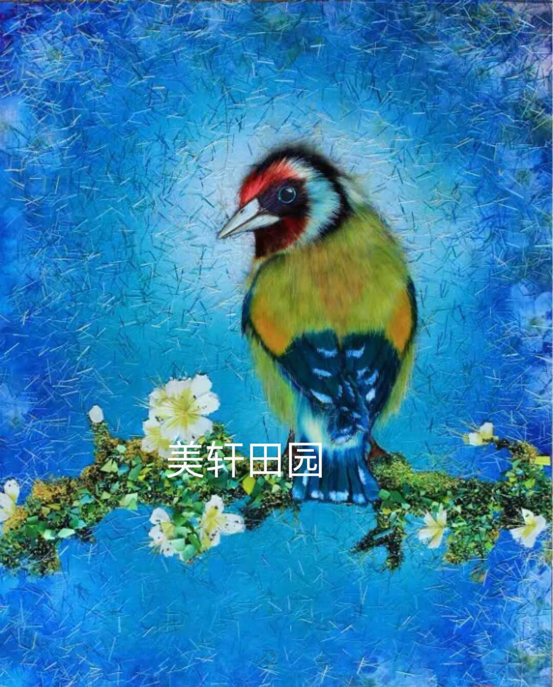 極品彩色小鳥4(圖1)