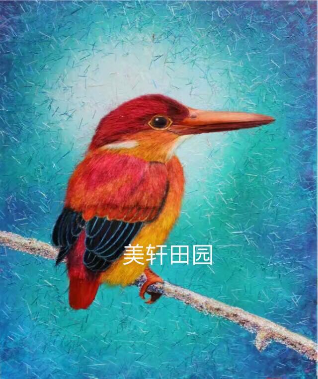  極品彩色小鳥5(圖1)