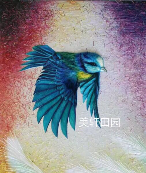  極品彩色小鳥3(圖1)